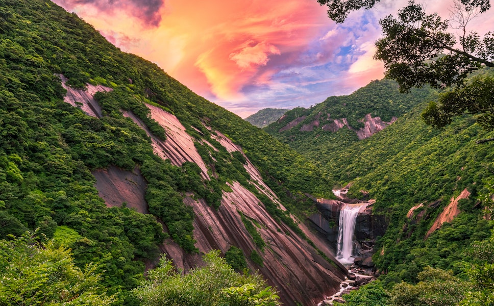 Yakushima Island