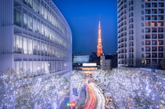 Winter Illumination in Tokyo seen from Roppongi Hills