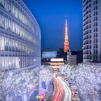 Winter Illumination in Tokyo seen from Roppongi Hills A vibrant cityscape at night with a view of a brightly lit tower in the background. Tree-lined streets adorned with twinkling lights create a festive atmosphere. The scene is framed by modern buildings on either side.