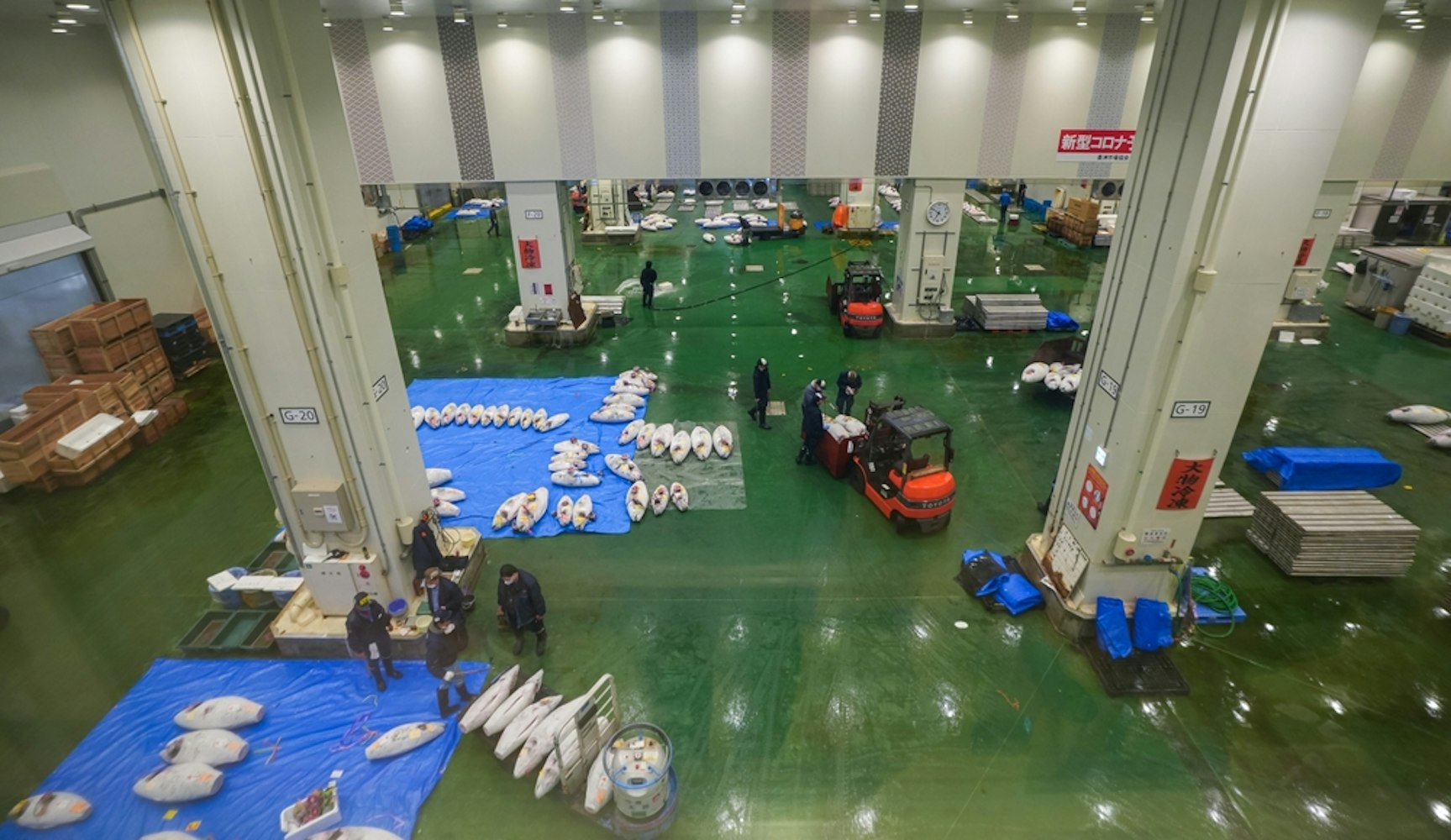 Toyosu Wholesale Fish Market