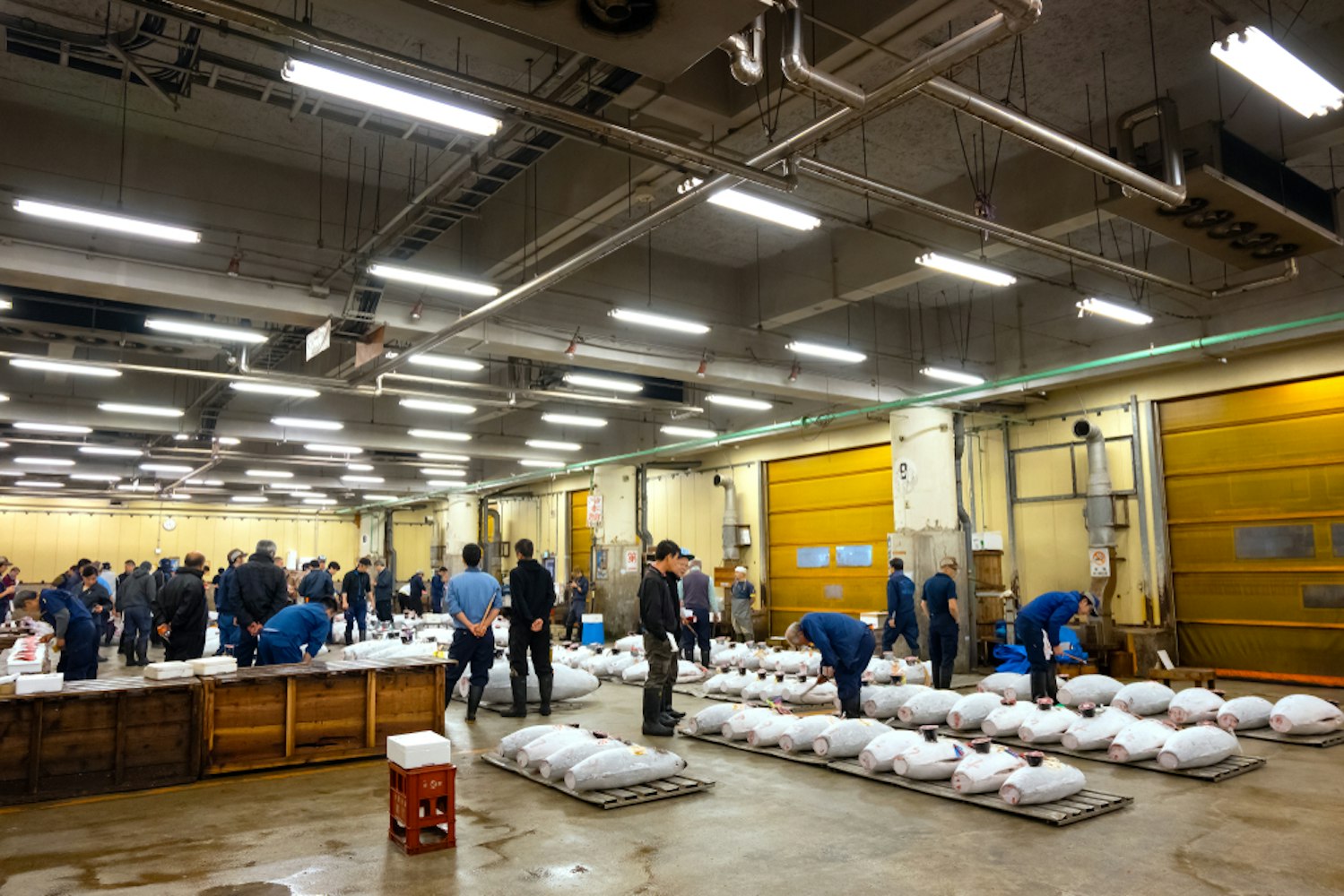 Tsukiji Market