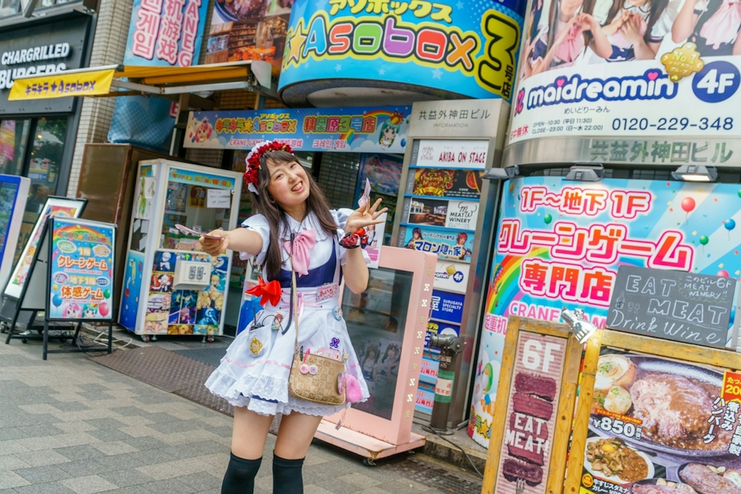 Maid Cafe, Akihabara