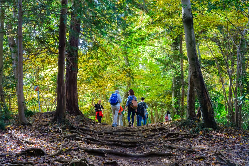 20 Best Day Trips from Tokyo in 2026 - Trip To Japan