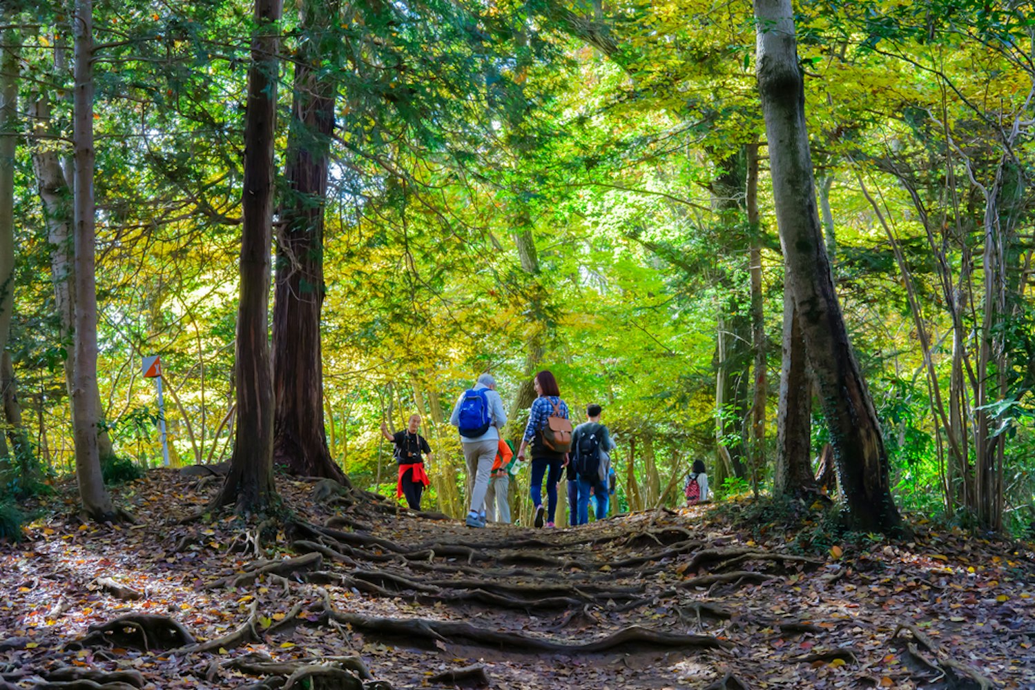 Mount Takao