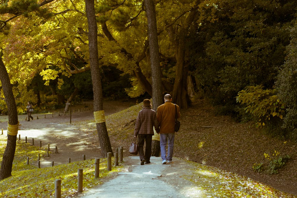 A couple walks hand in hand down a tree-lined path in a park filled with autumn foliage. The sun filters through the trees, casting a warm, golden glow over the scene.