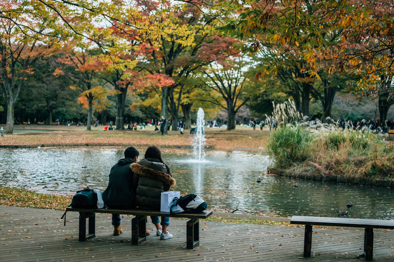 Yoyogi Park