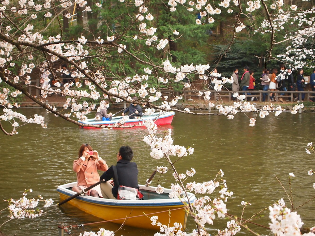 Inokashira Park in Tokyo