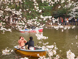 Two people in a yellow rowboat beneath blooming cherry blossom branches on a lake, with other boats and people visible in the background among trees.