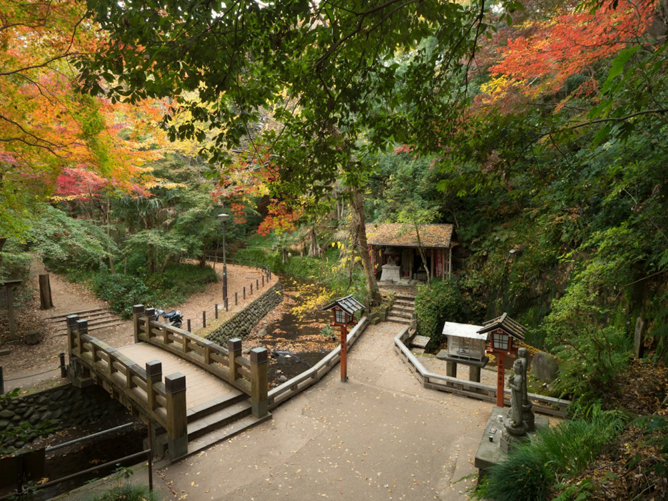 Autumn leaves of Todoroki Valley Park
