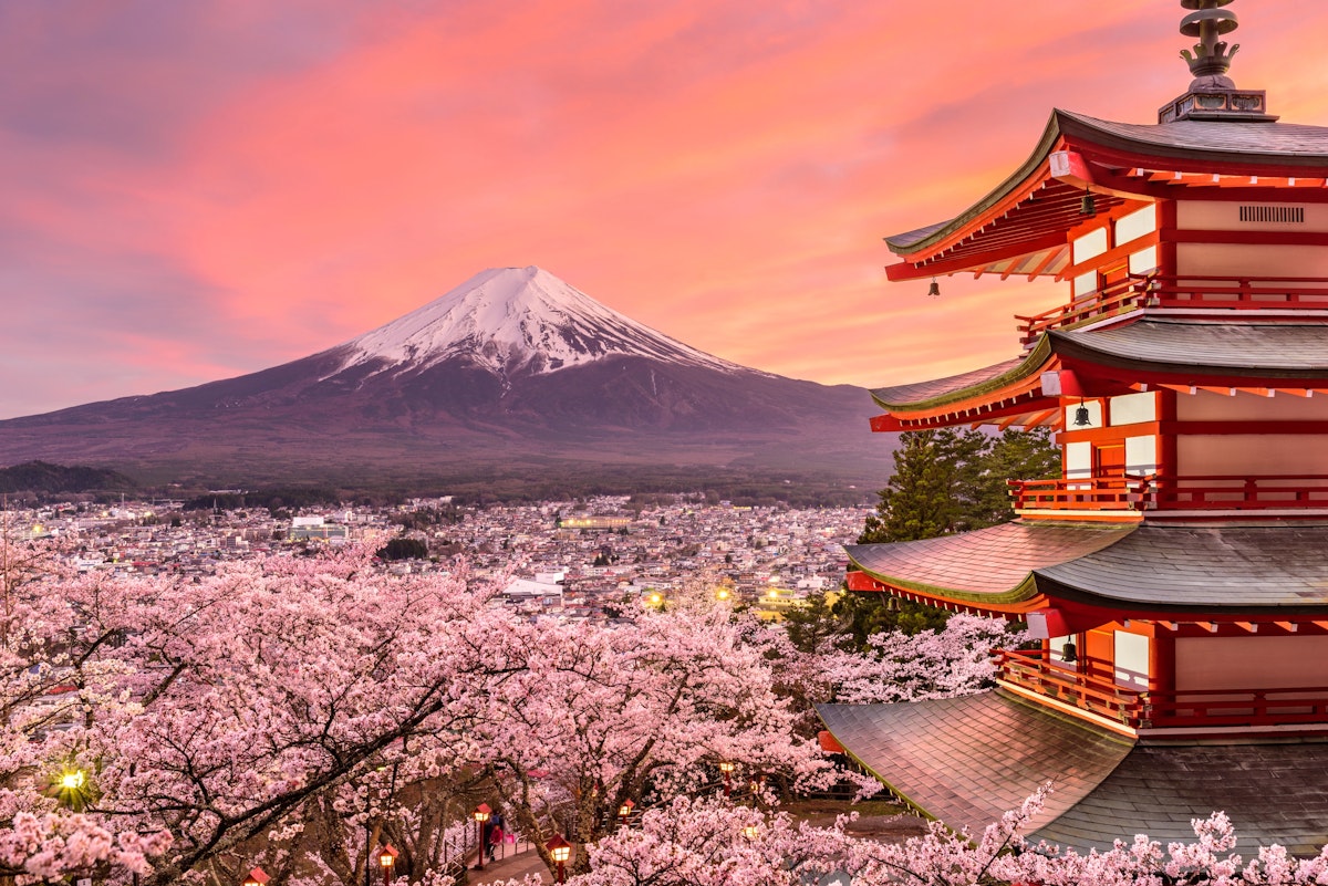 東京の桜:究極の鑑賞ガイド - Trip To Japan - Trip To Japan