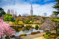 Shinjuku Gyoen Park