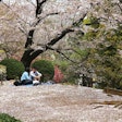 台東区立隅田公園
