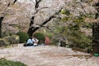 台東区立隅田公園