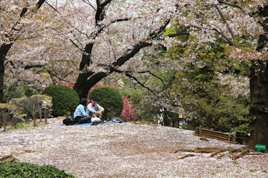 Sumida Park Tokyo