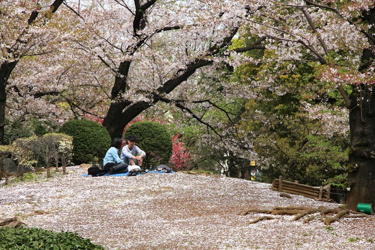 Sumida Park Tokyo