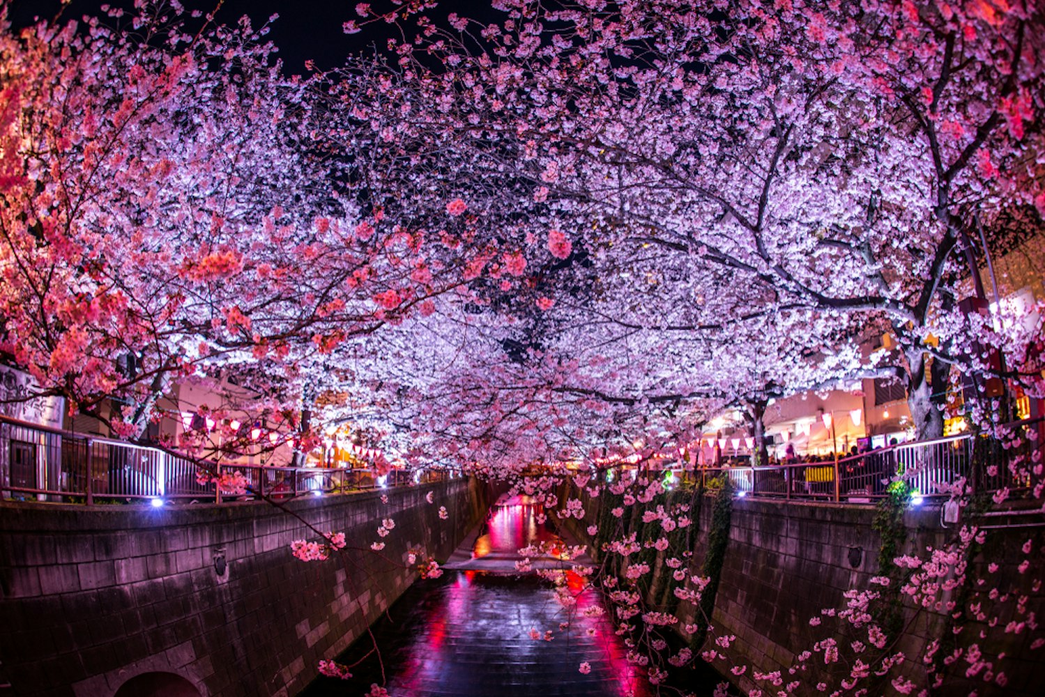 Nakameguro Meguro River