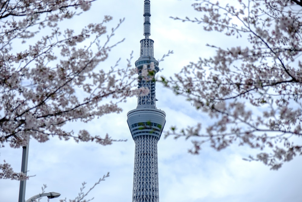 Tokyo Skytree