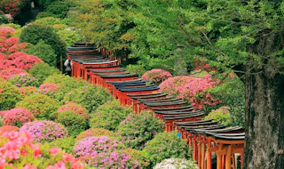 A winding path of bright red torii gates leads through lush greenery and vibrant pink azalea bushes, with a large tree on the right side. The scene exudes a tranquil, natural beauty, showcasing a striking contrast between the red gates and blooming flowers.