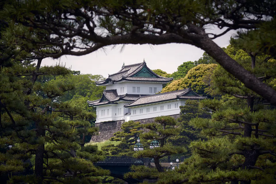 A traditional Japanese castle with green and black rooftop accents is partially obscured by lush green trees in the foreground. The structure sits on a stone base, surrounded by dense greenery and enhancing its serene, historic ambiance.