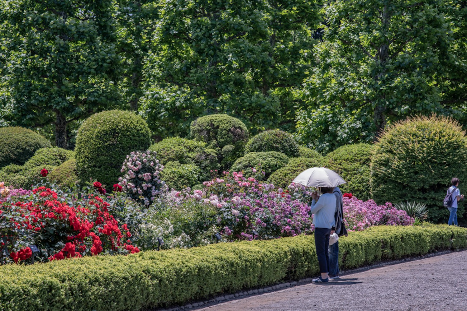 Shinjuku Gyoen National Garden