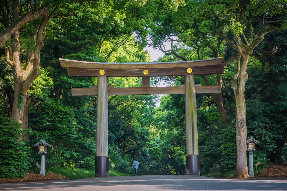 Entrance at Meiji-jingu Entrance at Meiji-jingu