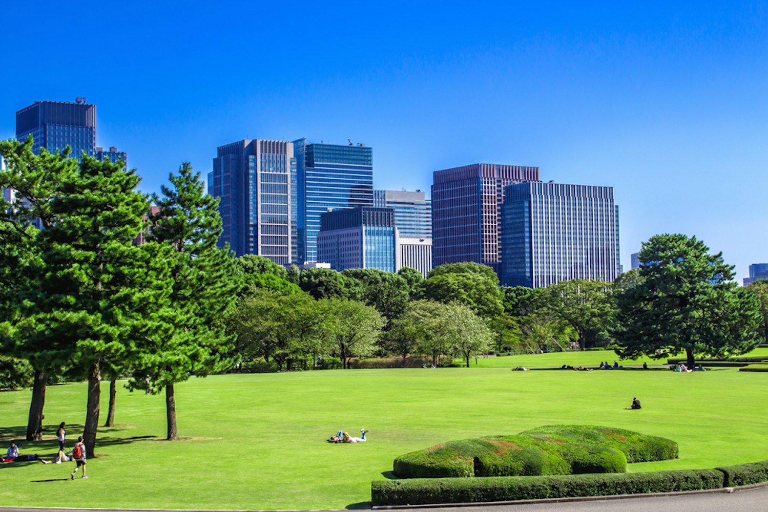 Tokyo Skyline in the Imperial Palace East Gardens, Japan