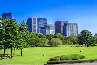 Tokyo Skyline in the Imperial Palace East Gardens, Japan