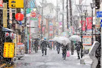 Tokyo in Winter