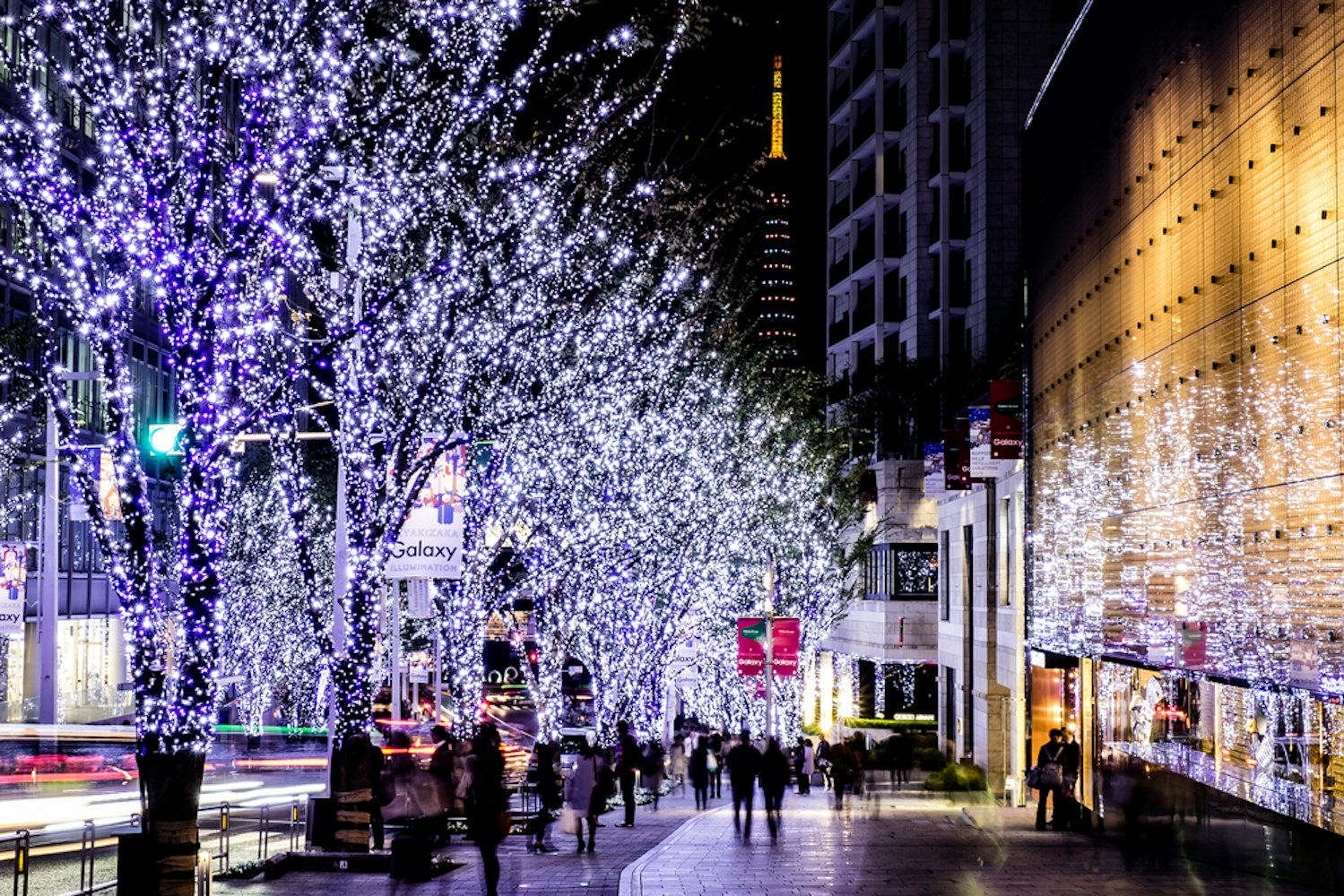 Tokyo Winter Illuminations