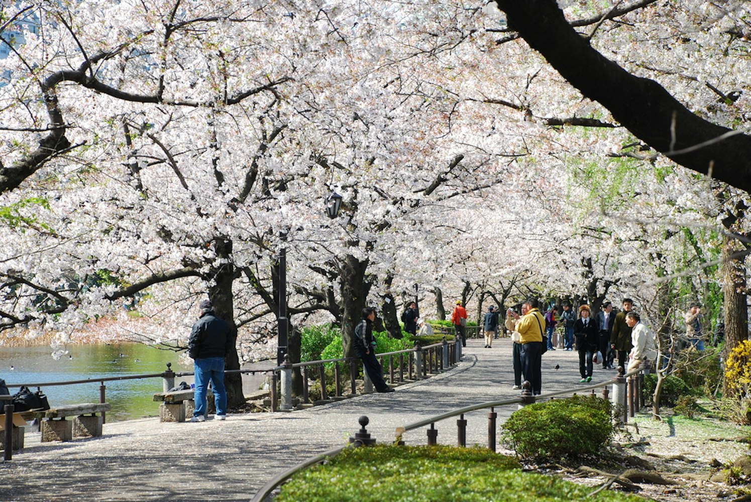 Ueno Park