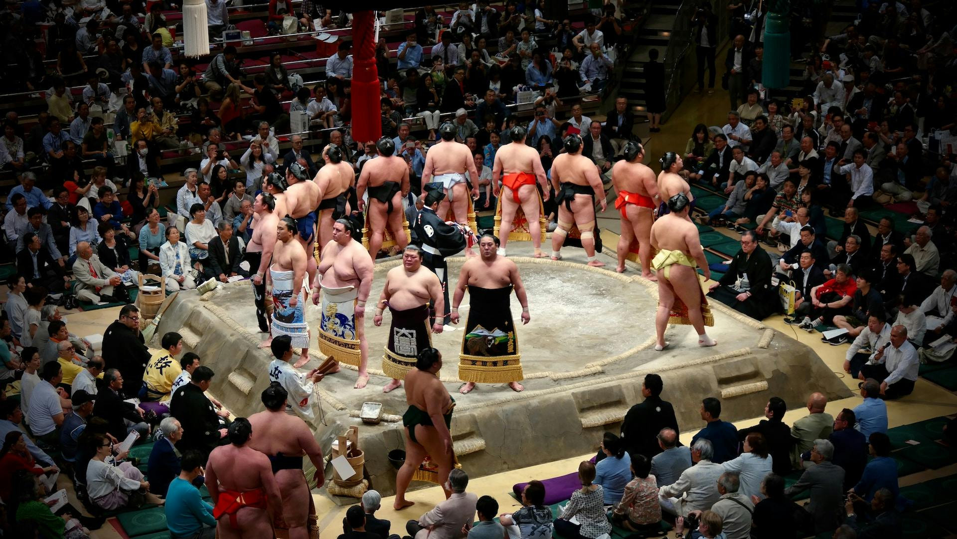 Sumo fight 2025