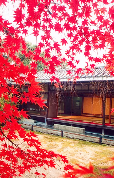 Myoshinji Temple Myoshinji Temple
