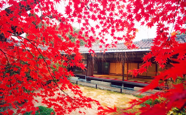 Myoshinji Temple