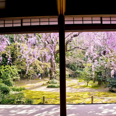 Myoshinji Temple Myoshinji Temple