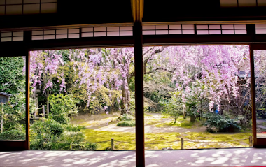 Myoshinji Temple