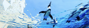 Sunshine Aquarium