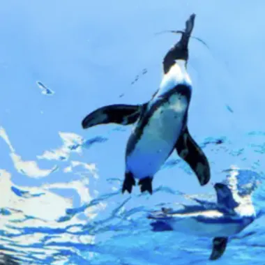 Sunshine Aquarium Sunshine Aquarium