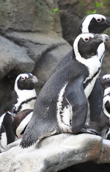 Sunshine Aquarium Sunshine Aquarium