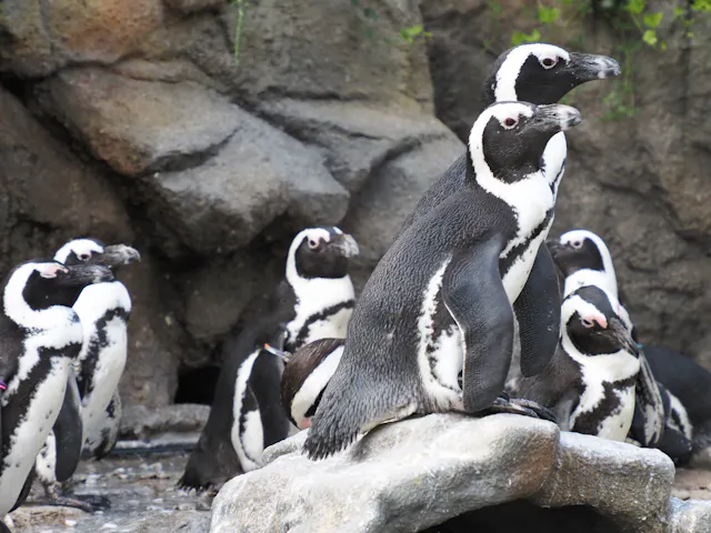 Sunshine Aquarium Sunshine Aquarium