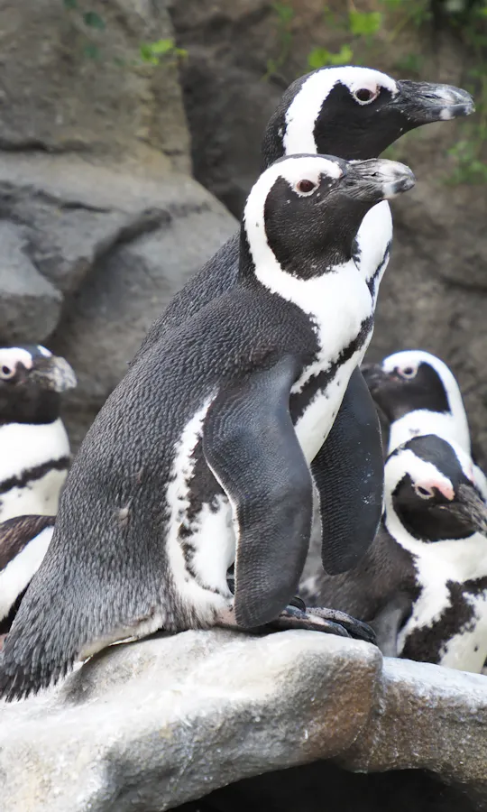 Sunshine Aquarium Sunshine Aquarium