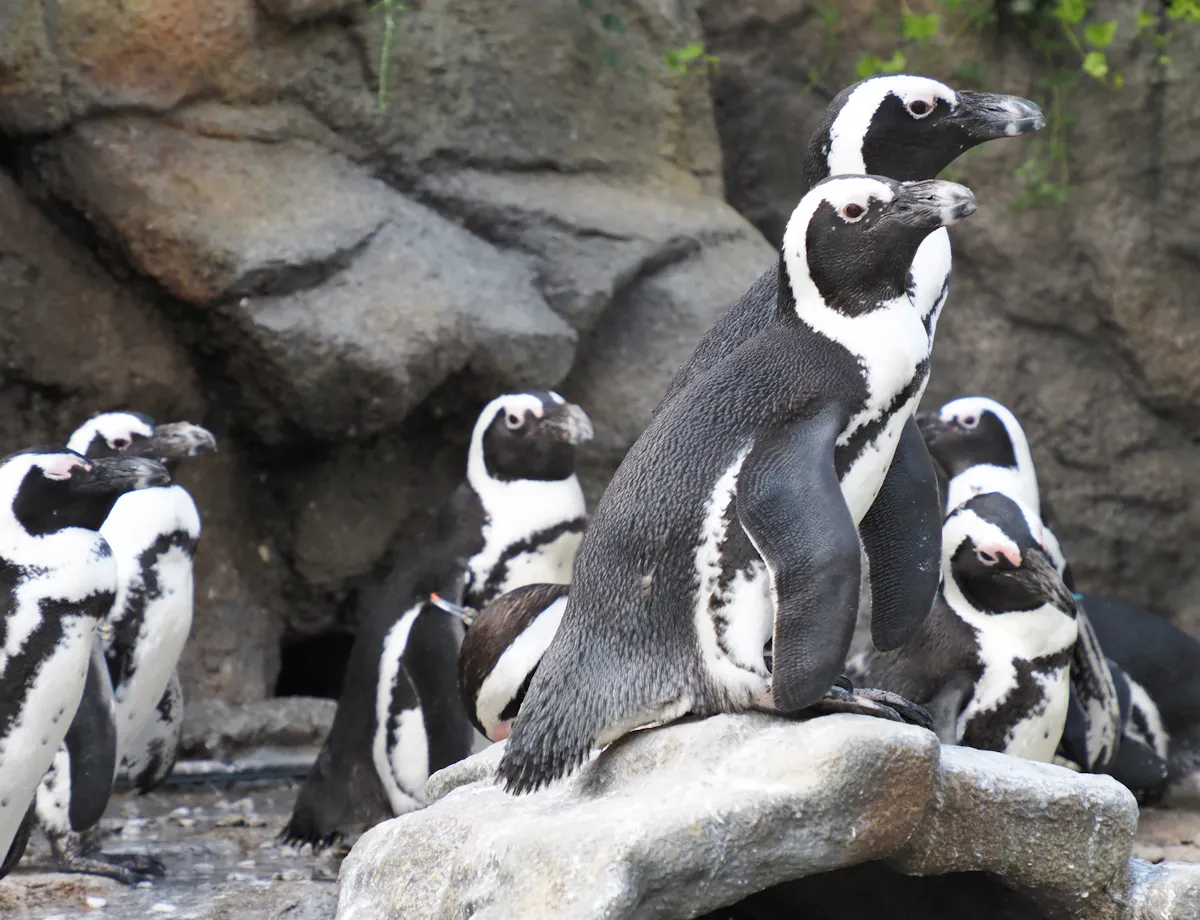 Sunshine Aquarium Sunshine Aquarium