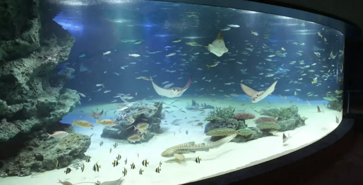 Sunshine Aquarium Sunshine Aquarium