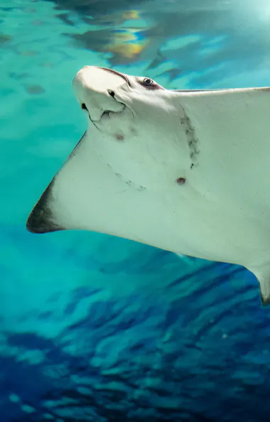 Sunshine Aquarium Sunshine Aquarium