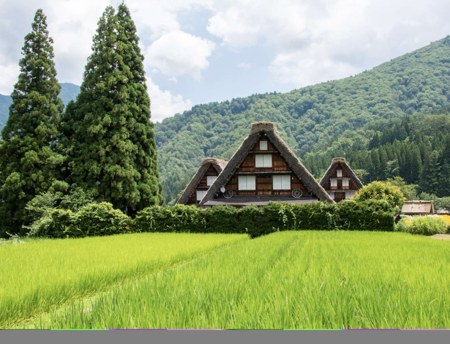 Shirakawago & Gokayama Gassho Houses Shirakawago & Gokayama Gassho Houses