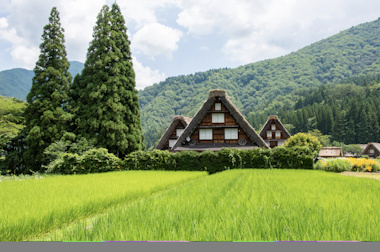 Shirakawago & Gokayama Gassho Houses