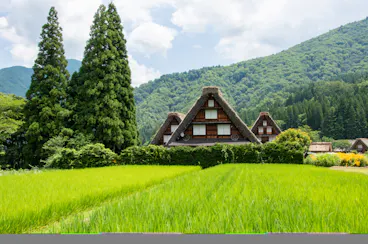 Shirakawago & Gokayama Gassho Houses