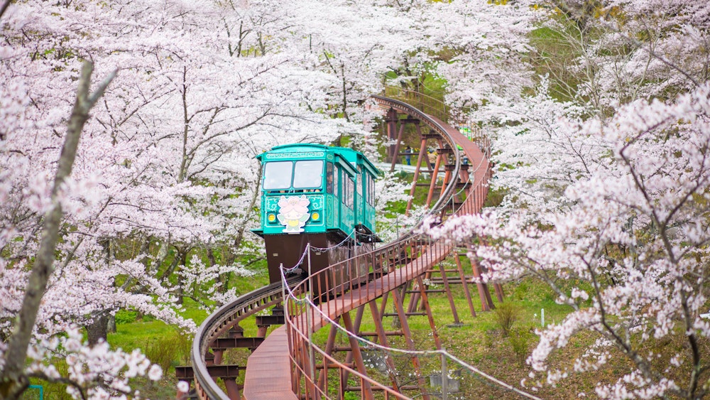 Sakura Tunnel, Sendai