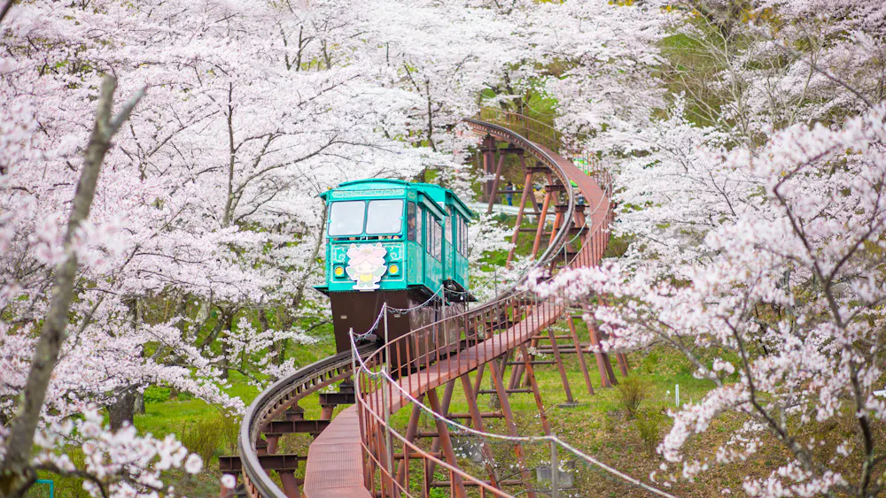 Sakura Tunnel, Sendai