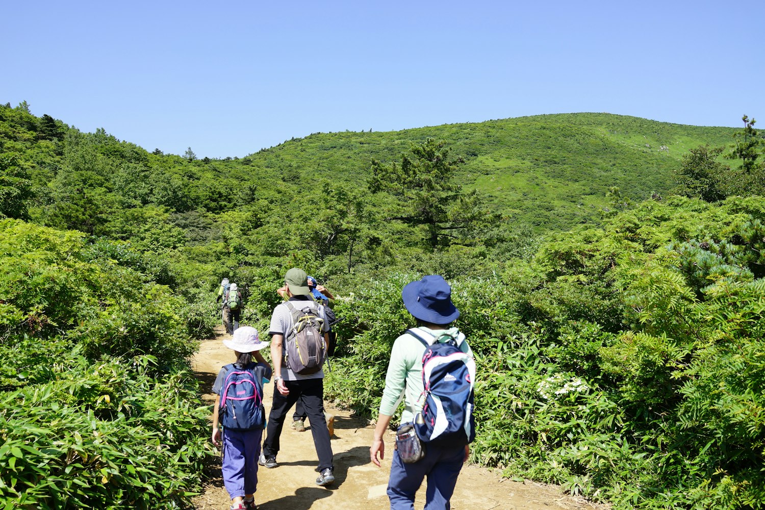 Hiking