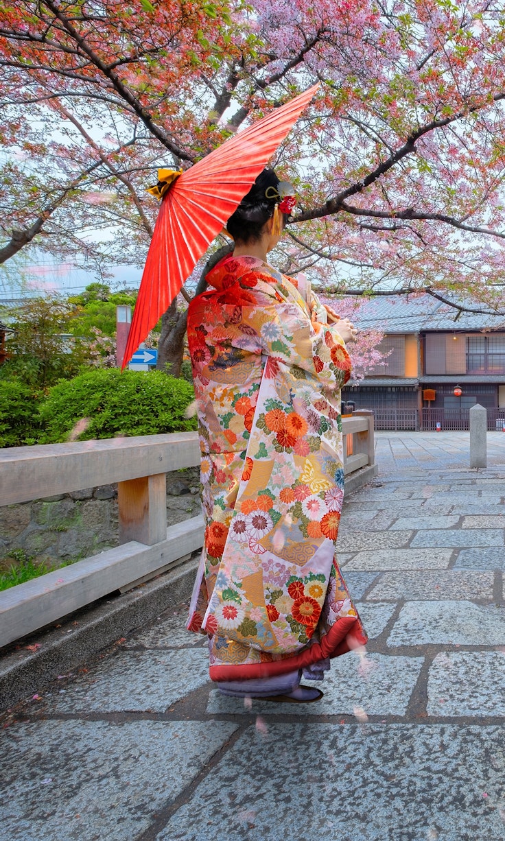 探索祇园,发现艺伎的艺术 - Trip To Japan - Trip To Japan